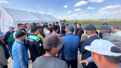 Партия AMANAT возвратила более 44 тыс. га земель в госсобственность в Алматинской области