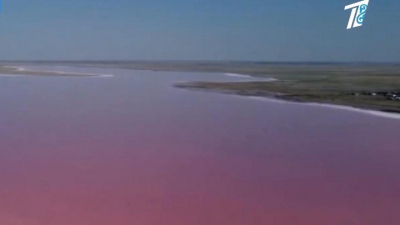 Названы предварительные причины обмеления розового озера под Павлодаром (видео)