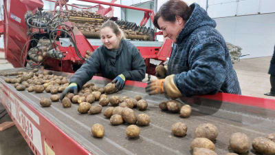 Конвейер, определяющий &laquo;самочувствие&raquo;