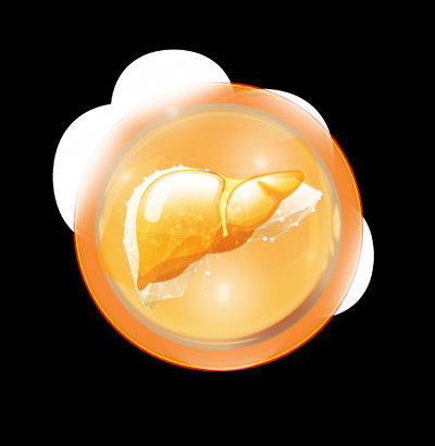 &laquo;Болезни молодеют&raquo;: врач рассказала о заболеваниях печени