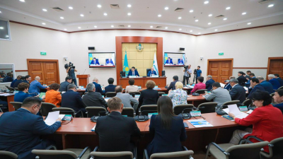 Фракция Amanat: Казахстанцы тратят половину своих доходов на продукты