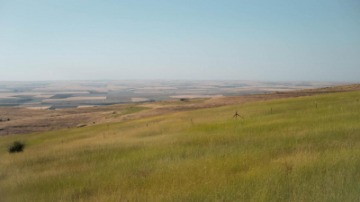 Токаев ответил на слухи о продаже казахстанских земель иностранцам