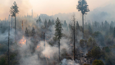 Казахстанцы собрали 200 млн тенге вместе с Kaspi.kz для пострадавших от пожара