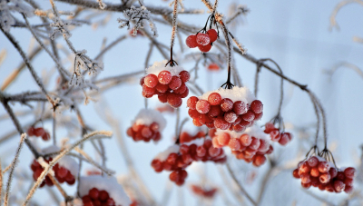 Штормовое предупреждение объявлено в Астане и 10 областях Казахстана на воскресенье