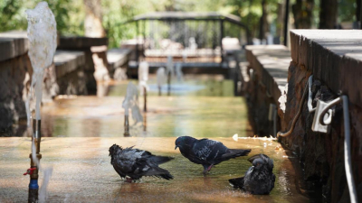 Гроза и 33-градусная жара ожидаются в крупнейших городах Казахстана