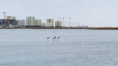 Верховный суд вынес решение по делу об озерах Малого Талдыколя в Астане