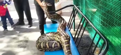 Полиция провела проверку в биологическом центре Семея