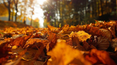 До 18 градусов тепла ожидается в одном из мегаполисов Казахстана в четверг