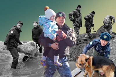 Как спасают животных и людей во время паводка