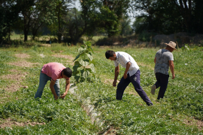 &laquo;Жер мені бақсын десең...&raquo; Түркістандық кәсіпкер табысты болудың жолдарын айтты