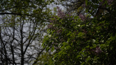 Синоптики предупредили казахстанцев о непогоде в начале следующей недели