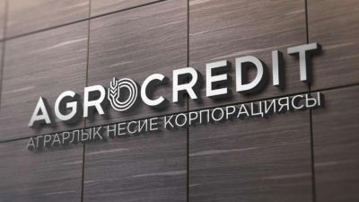 Аграрная кредитная корпорация: Наша главная цель &ndash; это повышение доступа кредитов в АПК