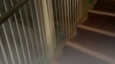 В школах Казахстана пройдут рейды после случая с падением в пролет школьника в Астане