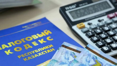 Разработку Налогового кодекса Казахстана презентовали группе Совета иностранных инвесторов