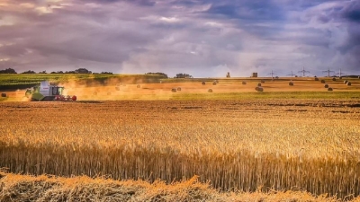 Министр Карашукеев уличил некоторых фермеров в обмане государства