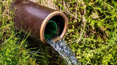 "Что за глупости?": дачников из Астаны возмутила просьба поливать огороды по ночам (видео)