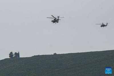 Глава МИД Израиля подтвердил убийство высокопоставленного командира группировки "Хезболлах"
