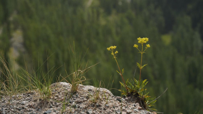 Спад жары прогнозируют в Казахстане в ближайшие дни