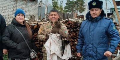 Краснокнижного орла спасли в Костанайской области