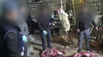 23 туши сайгаков обнаружили полицейские в городе Сатпаев