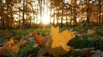 Алдағы күндері елімізде ауа райы қандай болады