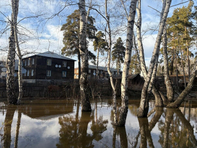 Благодарим за активное участие!..