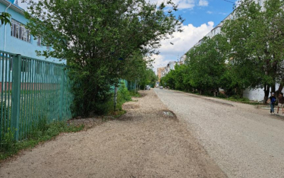 Народный репортер. Знак "спрятался" за деревом