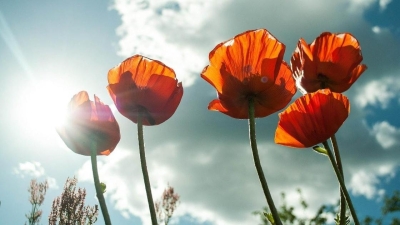 Жаркую погоду обещают синоптики в казахстанских мегаполисах