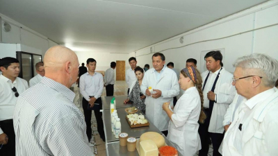 Казахстанские предприниматели из Мангистау впервые примут участие в международном конкурсе сыров