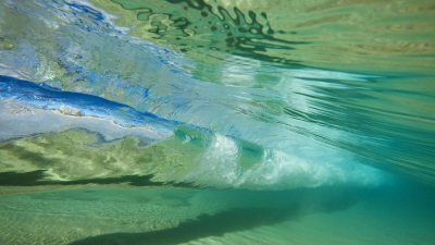 Мировой океан зеленеет: почему это может быть плохо и при чем тут потепление?