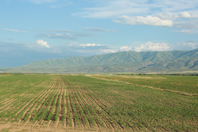 Фермеры смогут получить субсидии без электронных карт полей