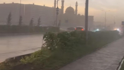 "Ломаются ветки и падают деревья": аким Петропавловска обратился к горожанам из-за сильного ветра