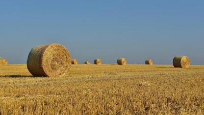 Изъятые у осужденного земли продали за 1,6 млрд тенге в Астане