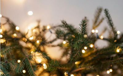 Новогодняя елка рухнула в Мангистау (ВИДЕО)