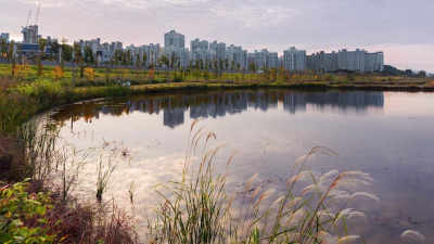 Cкладывается сложная обстановка: глава Минэкологии о ситуации с водой в Туркестанской, Кызылординской и Жамбылской областях