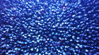 Как казахстанцы оценивают свой уровень жизни