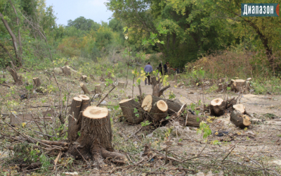 Письмо читателя. На что аллергия у актюбинцев?