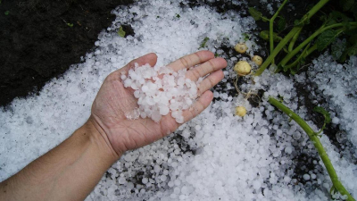 "Никогда такого не видела": необычайно крупный град уничтожил урожай в Костанайской области (видео)