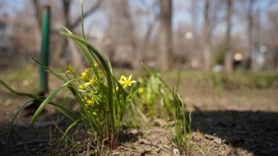 Жара 30 градусов: какая погода ожидается в крупнейших городах Казахстана