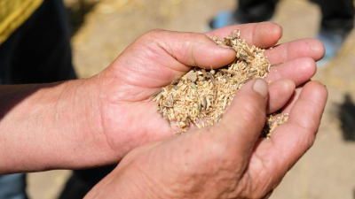 Смаилов ответил казахстанцам, обеспокоенным экспортом зерна в Китай