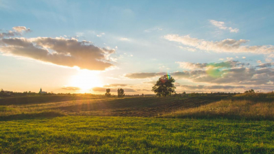 На мыльные реки на пастбищах пожаловались жители Туркестанской области
