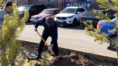 Миллион деревьев и кустарников высадят в текущем году в Астане