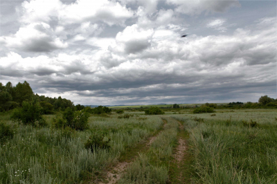 Дождь и грозы ожидаются в ближайшие дни в Казахстане