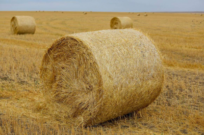 &laquo;Парадоксальная ситуация&raquo;: Президент указал на нехватку специалистов в агросекторе