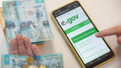 Увеличить размер некоторых социальных выплат предложили в Казахстане