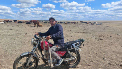 Корма и пастбища