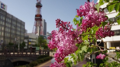 Какой будет погода в Казахстане в мае, рассказали синоптики