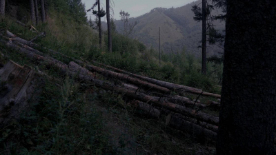 Искали трое суток: пропавшего в горах Алматы туриста из России нашли мертвым