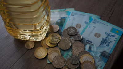 Как заработать на продаже использованного подсолнечного масла в Казахстане