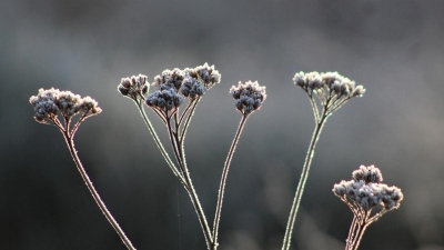 Штормовое предупреждение объявили в ряде регионов Казахстана из-за сильного ветра и заморозков